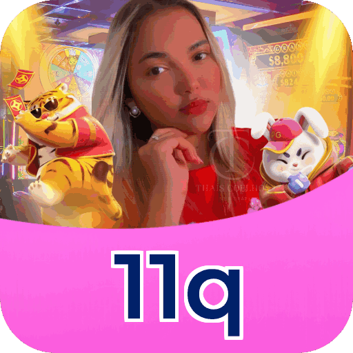 11q